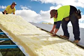 Best Attic Insulation Installation  in Shackle Island, TN