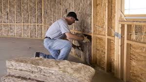 Best Eco-Friendly or Green Insulation Solutions  in Shackle Island, TN