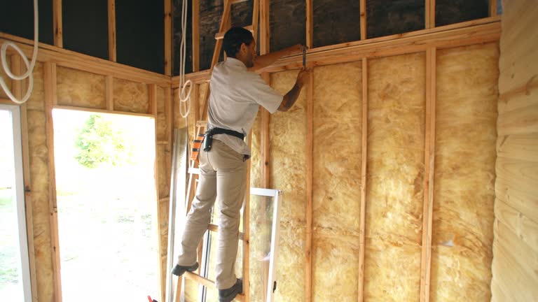 Best Commercial Insulation Services  in Shackle Island, TN