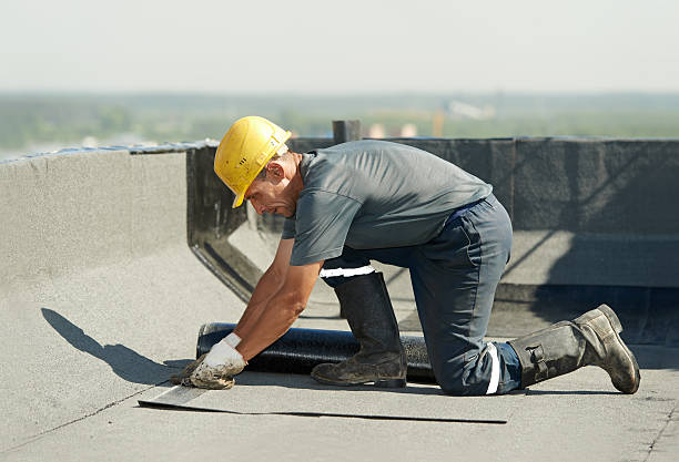 Best Garage Insulation  in Shackle Island, TN