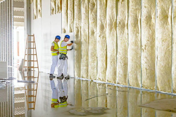 Best Radiant Barrier Insulation  in Shackle Island, TN